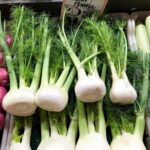 fennel 2 scaled 3