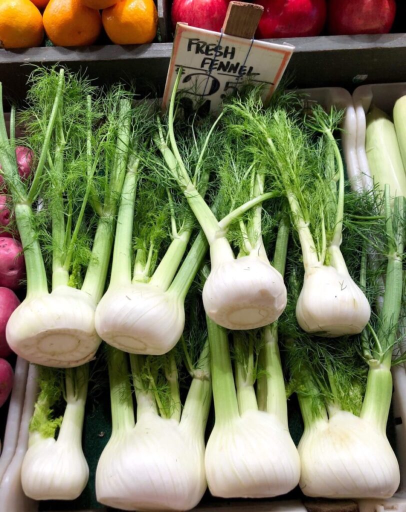 fennel 2 scaled 3